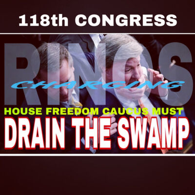 118th Congress RINOS