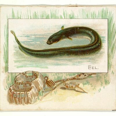 Hannah K Bründl / Lotte Lentes - Alleen in de Atlantisch Oceaan sterven