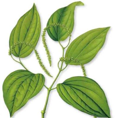 5-10-① 中山经：首阳山、虎尾山、繁缋山