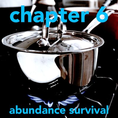 1.6 Abundance Survival