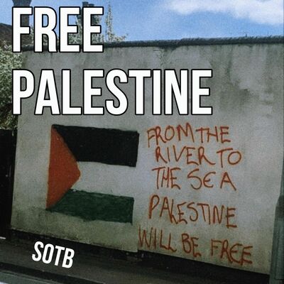 Episode 268: Free Palestine