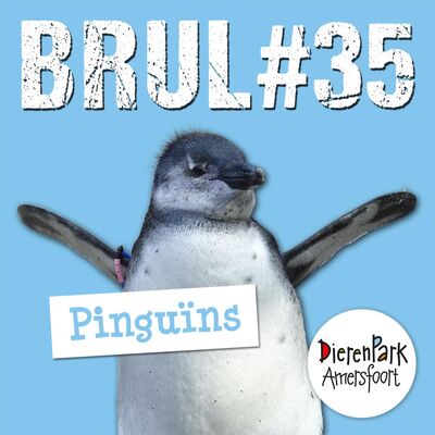 Waterpret met de pinguïns 🐧| BRUL #35