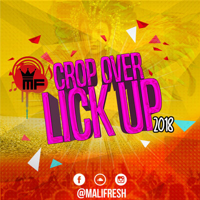 CROP OVER LICK UP 2018