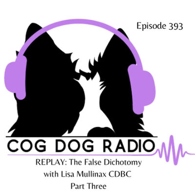 REPLAY: The False Dichotomy with Lisa Mullinax CDBC Part Three
