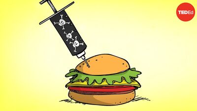 Ethical dilemma: The burger murders | George Siedel and Christine Ladwig