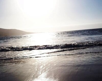 为奇不异 求清不激