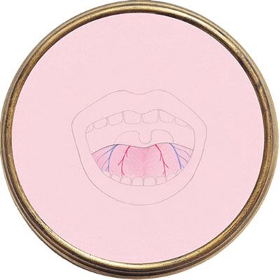 INTRO - Host's Mouth