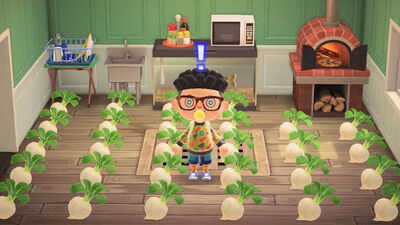 E21：属于动森的四月及批判重制游戏（上）