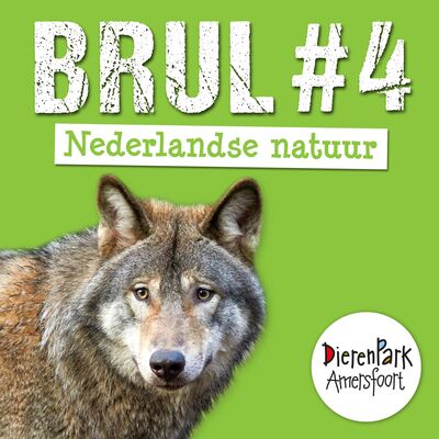 Op avontuur in de Nederlandse natuur | BRUL #4