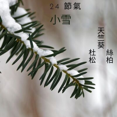 讓精油說故事 24節氣小雪 