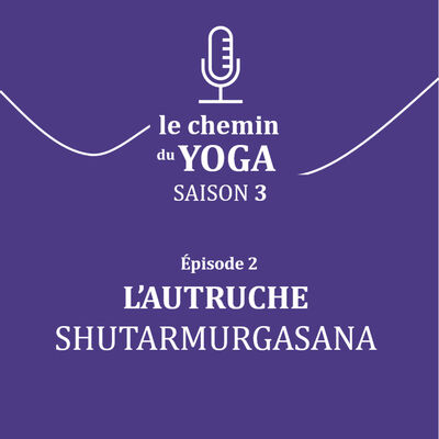 S3 E2 - l'autruche - shutarmurgasana