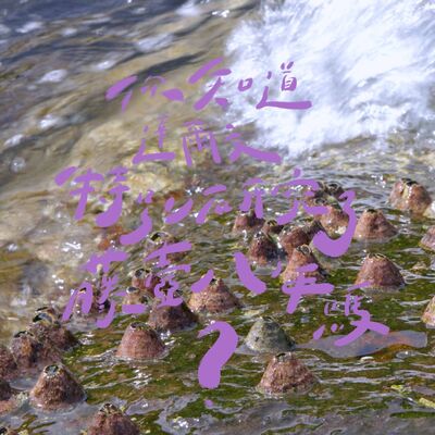 EP05 | 你知道達爾文特別研究了藤壺八年嗎 ?