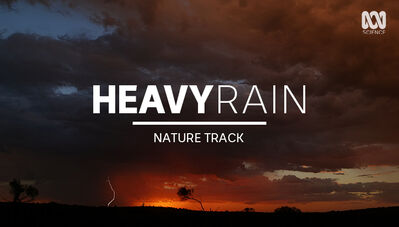 Heavy rain and desert thunder