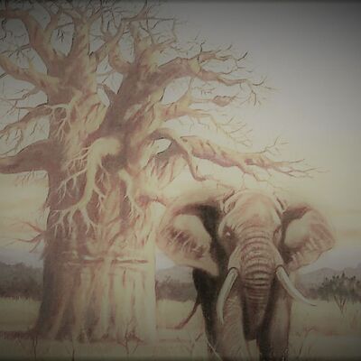 ASMR para dormir 🐘 EL ASTUTO VENCE AL FUERTE - Historias de africa
