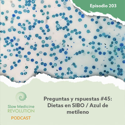 203 - P&R45 - Dietas en SIBO / Azul de metileno - Episodio exclusivo para mecenas