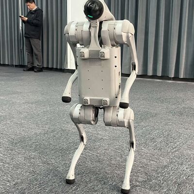 Lessons from My Visits to Xiaomi and Unitree Robotics (242)