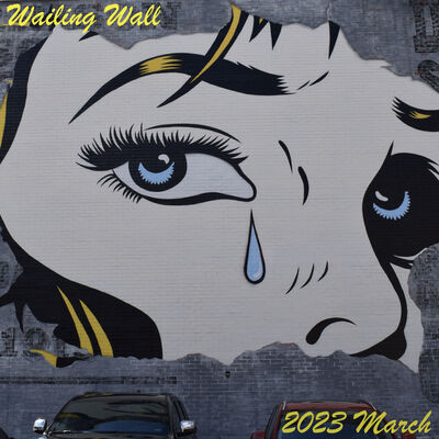 Episode 255: 2023 Mar Wailing Wall