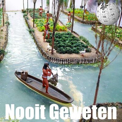 #100a: Axolotls, de verborgen schat van Mexico