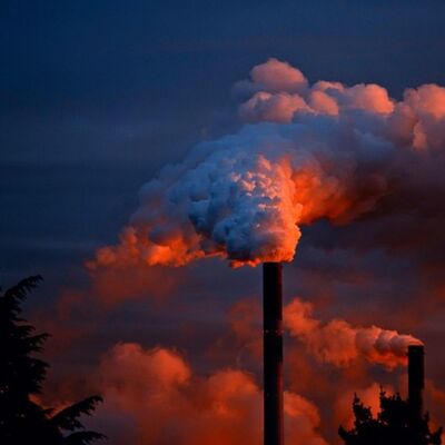 Tipping Point (3/5): License to pollute - Carbon markets and the new economy of nature