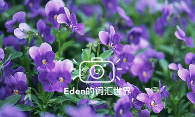 第136期:紫水晶对于老外来说的特殊意义