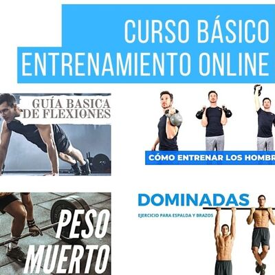 ENTRENAMIENTO GRATUITO ONLINE (curso)