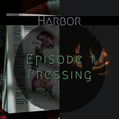 Episode 1 : Pressing - Harbor Season 1