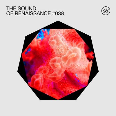 The Sound Of Renaissance 038