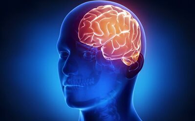 Declarativa, semántica, episódica...¿Cuántos tipos de memoria existen?