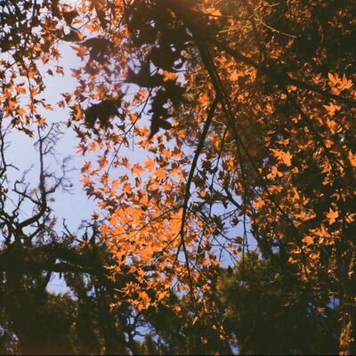 EP50 沒有一定的事 不用#Fuck2024