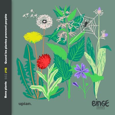 Quand les plantes prennent perpète