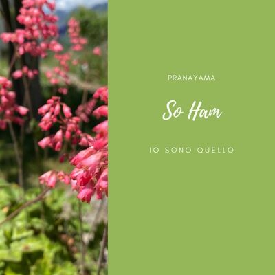 “ SO HAM” il suono curativo.
