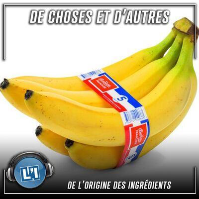 De l’origine des ingrédients - S04E113
