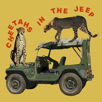 Ps Caleb Sheppard - DƐˈKAː.NƱS - Cheetah's In A Jeep