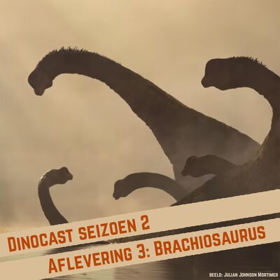 Brachiosaurus - een hart zo groot als een personenauto