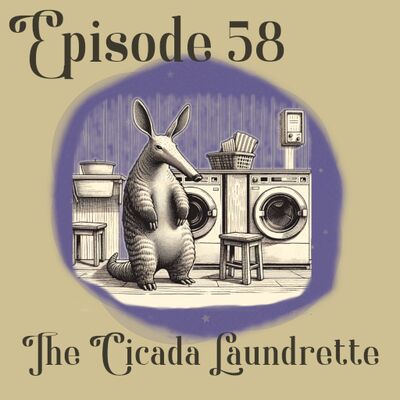 The Cicada Laundrette