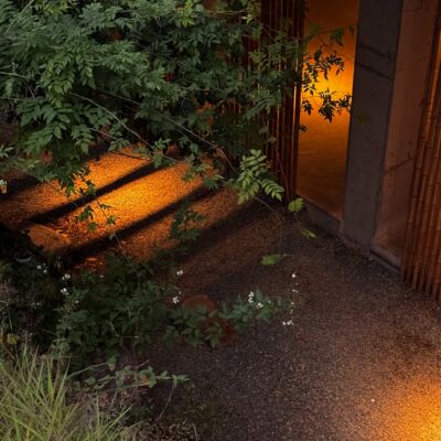 25. 做人生的旁观者 禅修生活大揭秘