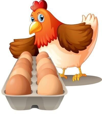 鸡蛋里的悄悄话-01