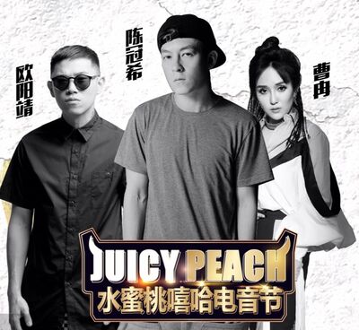 水蜜桃嘻哈电音节喜马拉雅FM河南站直播-回听20170826 19:28