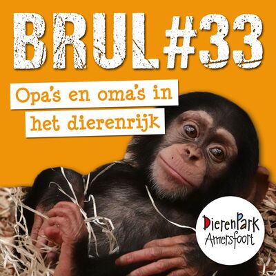 Onze oudste dierbewoners 🦩 | BRUL #33