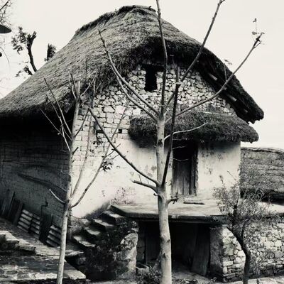 福建儿童失踪奇案｜会吃人的蘑菇小屋？是拐骗还是灵异