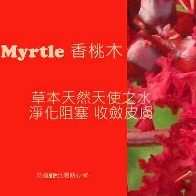 讓精油說故事 紅香桃木