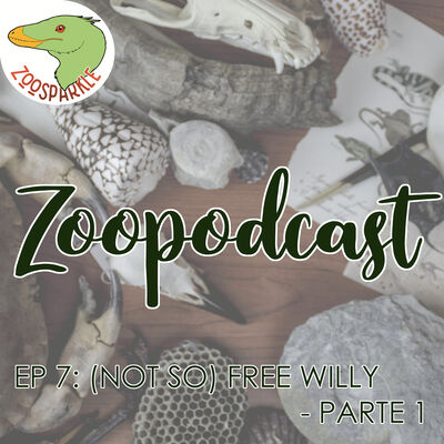 Zoopodcast #7 - (Not so) Free Willy: Parte 1