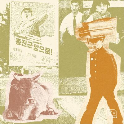 EP222：在朝鲜、印度、乌兹别克斯坦留学的人