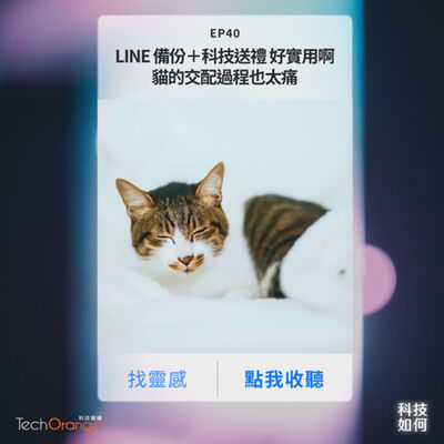 科技送禮豪實用啊～LINE 推「備份啟用碼」不怕遺失記錄！獅子一天能性交 100 次，哺乳動物生殖策略解析｜EP 40