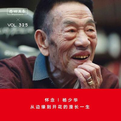 325 怀念|杨少华：从边缘到开花的漫长一生