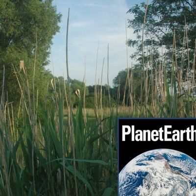 Medical diagnostics, the value of nature - Planet Earth Podcast - 12.06.06