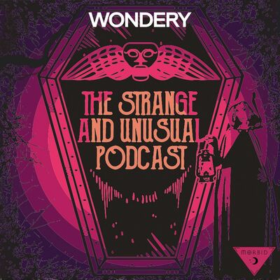 Listen Now: Flesh and Code