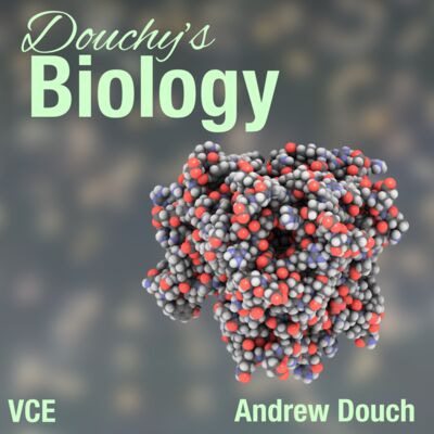 Episode 2: Protein