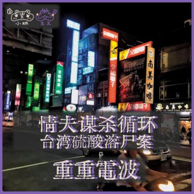 E20.情夫谋杀循环：台湾硫酸溶尸案