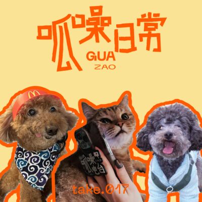 take.017 我们爱宠物，比爱人更深情